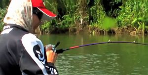VIDEO: Black bass hookup!